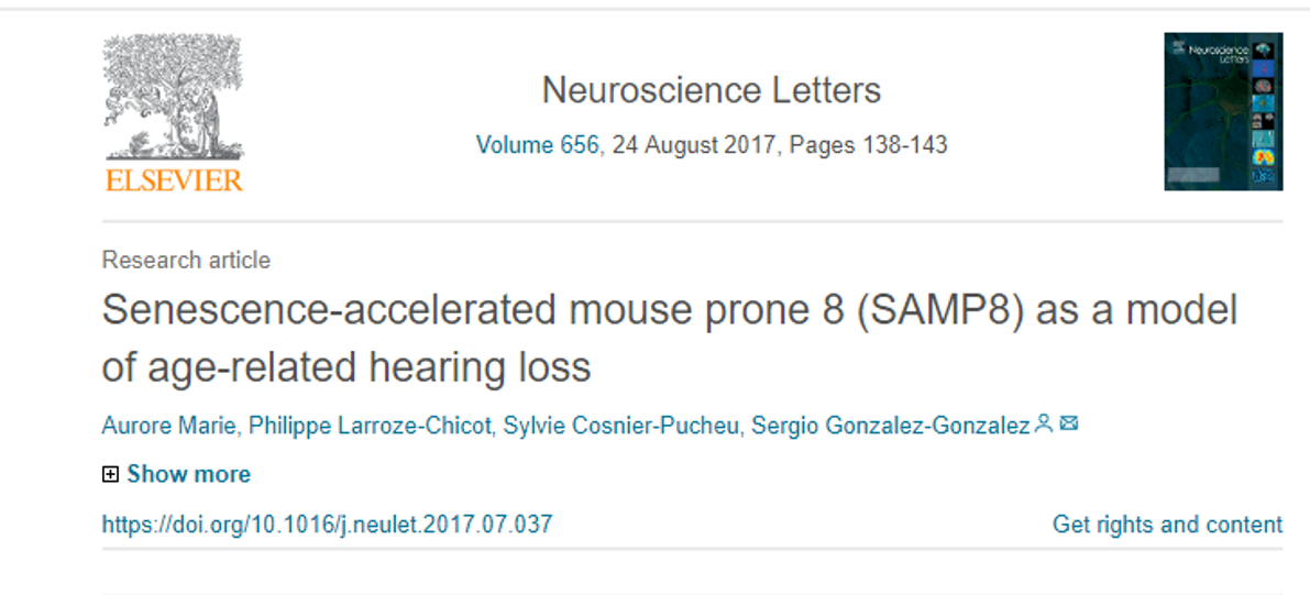 Read more about the article SAMP8 as a model of age-related hearing loss now published !