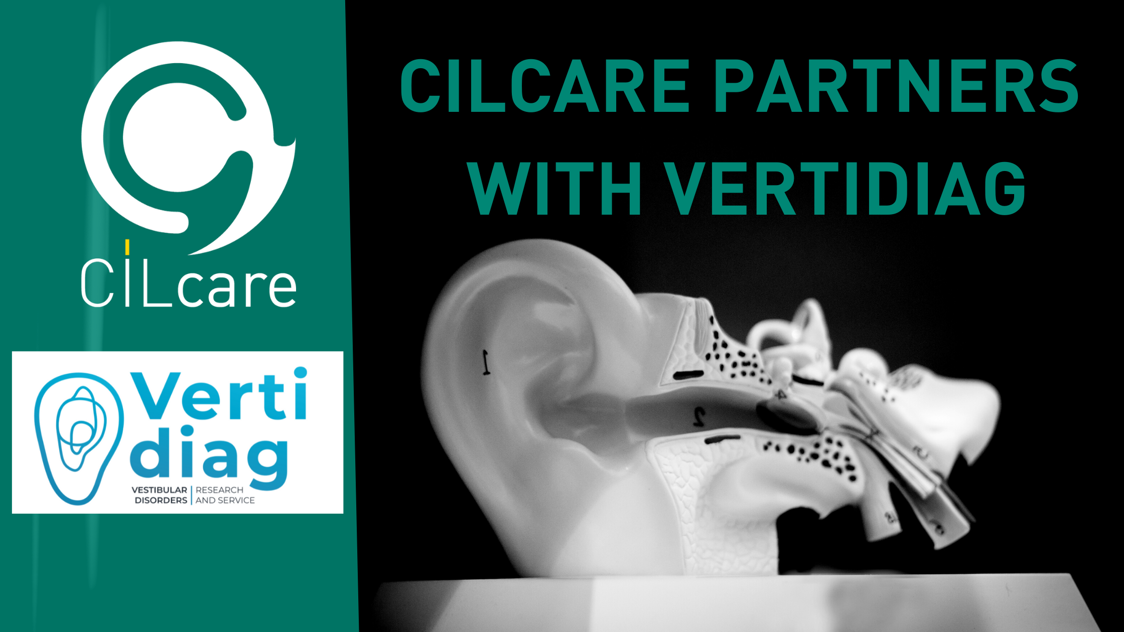 Read more about the article CILcare extends its expertise to develop solutions for people with vestibular disorders with its partner Vertidiag