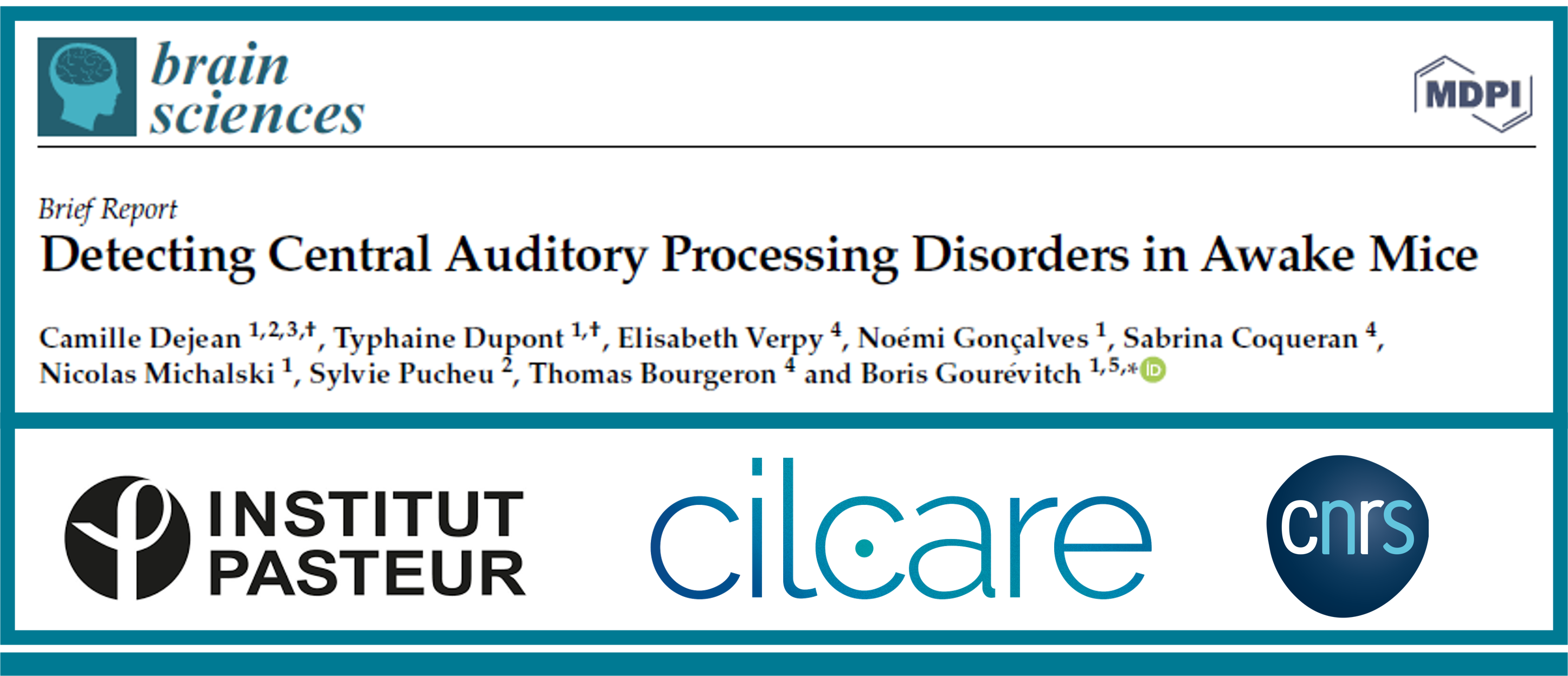 Read more about the article New publication from Cilcare & Pasteur Institute  reveals breakthroughs in mice models’ central auditory processing of neurological disorders